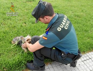 Agentes de la Guardia Civil rescatan a un animal que estaba siendo maltratado.