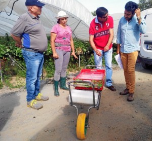 Supone una gran revolución en las tareas del trabajo agrícola de los frutos rojos.