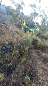 Efectivos del Infoca trabajan en la extinción del incendio.