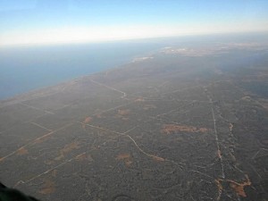 Vista de Doñana a primeras horas de la mañana del lunes.