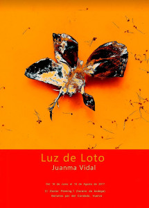 luz