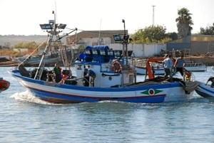 Reabierto el caladero de chirla del Golfo de Cádiz.