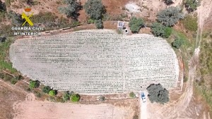 La finca había sido alquilada.