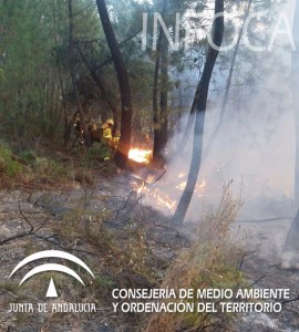 El incendio se declaró este viernes. / Foto: Plan Infoca.