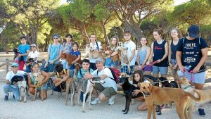 Un momento de la  ‘I Jornada de Voluntariado’ celebrada en 'Puntanimals'. 