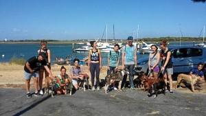 Un total de 17 participantes de entre 14 y 29 años tomaron parte en esta experiencia en labores de voluntariado con animales.