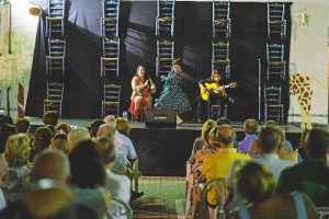 festival flamenco antonia lopez (5 de 9)