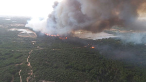 Foto aérea del incendio en Doñana. / Foto: Infoca.