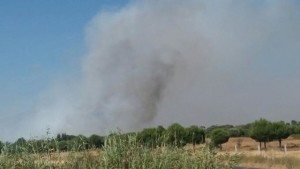 Incendio forestal que afecta al término de Bonares.