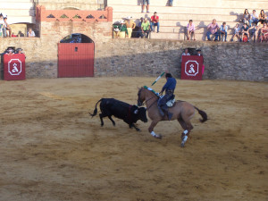 almonaster la real novillada 2017