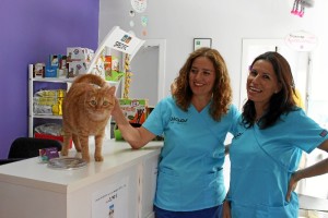 Teresa Suárez y Carmen Martín, responsables de la Clínica Veterinaria Bichos. / Foto: Laura Cebrino. 