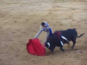 David de Miranda con el toro fijado. / Foto C.A.