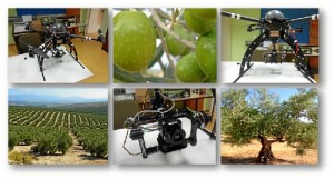 Drones&Olivos