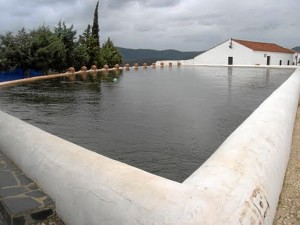 Un espacio de carácter único. 