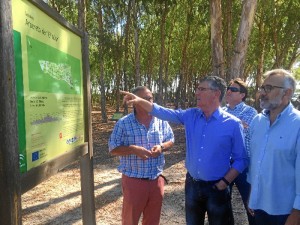 Un momento de la visita al Arboreto de El Villar, un eucaliptal de referencia en Europa.