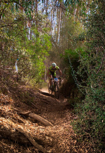 Doble cita este fin de semana con los circuitos de BTT de Media Maratón y Rally en Nerva y Paymogo.