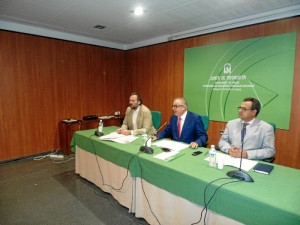 Presentación Plan Salud Accesibilidad.