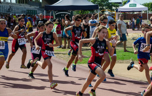 Alrededor de un centenar de jóvenes deportistas de esperan en esta prueba.