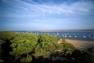 Marismas del Río Piedras y Flecha del Rompido.