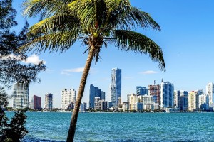 Tras meditarlo durante un tiempo, decidió aceptar una oferta de trabajo en Miami.