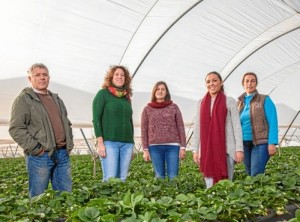 Técnicos de 'Fruta de Andalucía'.