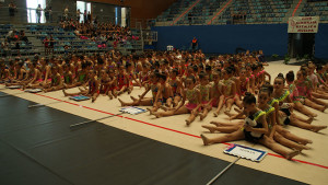 Más de 500 gimnastas se dieron cita este sábado en el Palacio de Deportes de Huelva.