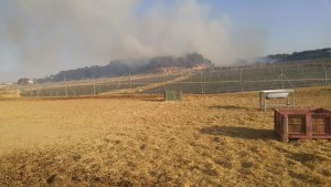 El fuego se ha registrado al sur de Nazaret.