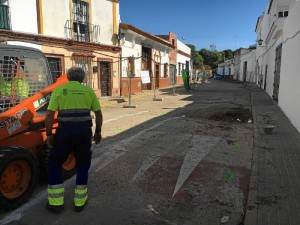 El próximo año esperan acogerse de nuevo a las ayudas. 