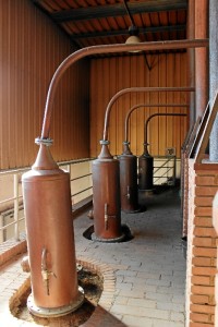 Tras la destilación en la caldera, se introducen las especias, agua y alcohol (de remolacha) macerado.