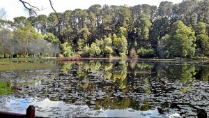 Parque Saval, uno de sus lugares preferidos de la ciudad.