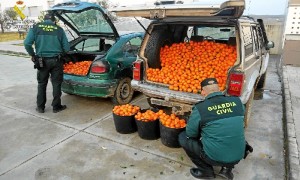 Los hurtos se han llevado a cabo en la localidades de Lepe, Gibraleón y San Silvestre de Guzmán