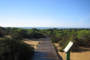 Lejos de lo que suele pensarse, en la zona de playa y en el Condado se puede disfrutar de magníficos senderos. / Foto: Junta de Andalucía.