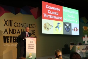 El presidente del Colegio de Huelva y también del Andaluz de Veterinarios, Fidel Astudillo, se dirije a los participantes.