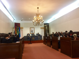 Pleno de la Diputación Provincial.