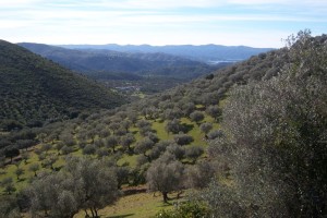 Al llegar al Mirador del Alto del Bujo puede verse el valle de la Ribera de Montemayor. / Foto: Junta de Andalucía.