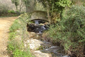 Dada su extensión, en un próximo artículo nos adentraremos en los senderos de la comarca del Condado y la Costa de Huelva. / Foto: Junta de Andalucía.