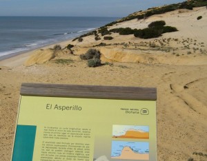 Este sendero nos lleva hasta el monumento natural de 'El Asperillo'. / Foto: Junta de Andalucía.