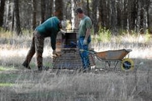 Durante una semana, un equipo de trabajadores de mantenimiento de la Agencia de Medio Ambiente y Agua ha actuado en la zona.