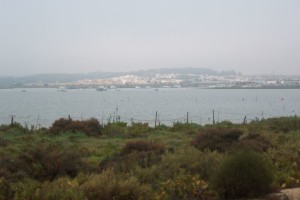 Un sendero nos permite adentrarnos en las Marismas de El Rompido. / Foto: Junta de Andalucía.