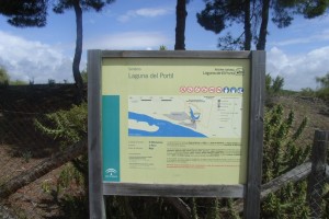 El sendero nos permitirá disfrutar de la Laguna del Portil. / Foto: Junta de Andalucía.