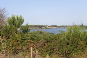 Sendero de La Laguna de las Madres. / Foto: Junta de Andalucía.