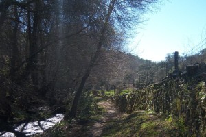 Imagen de este sendero de Santa Ana la Real. / Foto: Junta de Andalucía.