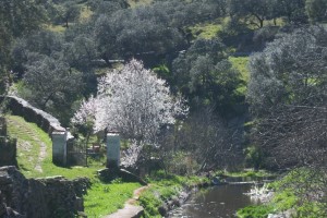 Una bella imagen de la Sierra de los Gabrieles. / Foto: Junta de Andalucía.