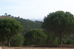 Sendero de Sierra Pelada, en Aroche. / Foto: Junta de Andalucía.