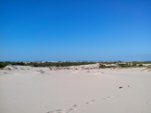 El cerro de los ánsares. Un lugar de creación de Juan drago.