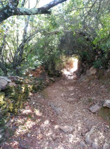 HUEX 18 - Higuera - Linares de la Sierra (5)