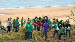 Más de 300 adolescentes han participado en el encuentro andaluz de scouts Green Doñana.