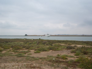 En Huelva podemos disfrutar de paisajes increíbles mientras cogemos la bici. / Foto: Junta de Andalucía.