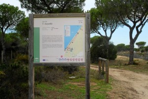 El carril de 'El Asperillo' recorre más de 24 kilómetros en los términos municipales de Almonte y Moguer. / Foto: Junta de Andalucía.