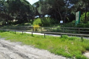 El carril de Los Enebrales nos permite disfrutar de magníficos paisajes naturales. / Foto: Junta de Andalucía.